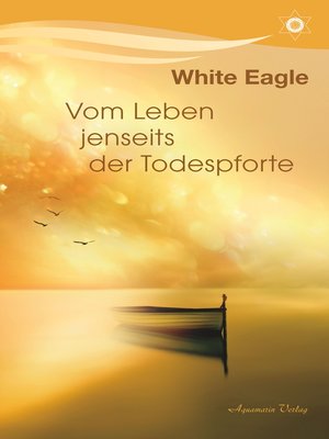 cover image of Vom Leben jenseits der Todespforte